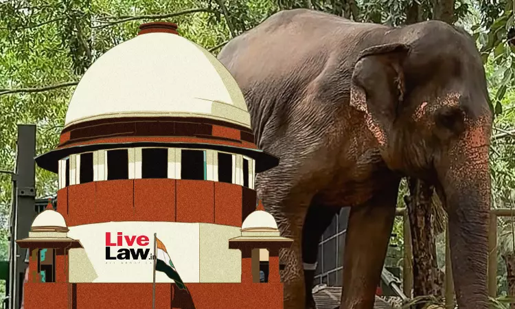 SIT Inquiring Allegations Against Vantara Wildlife Centre Submits Sealed Cover Report In Supreme Court SIT Inquiring Allegations Against Vantara Wildlife Centre Submits Sealed Cover Report In Supreme Court