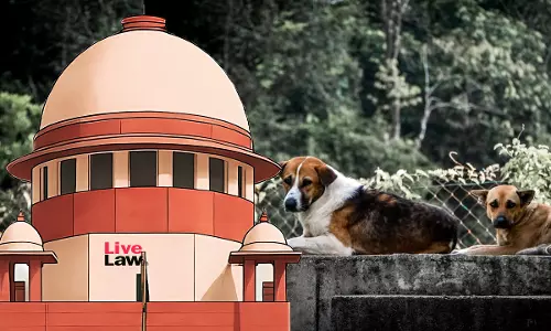 Supreme Court Allows Dog Bite Victims To Intervene In Suo Motu Case Without Monetary Deposit; Adds Animal Welfare Board As Respondent Supreme Court Allows Dog Bite Victims To Intervene In Suo Motu Case Without Monetary Deposit; Adds Animal Welfare Board As Respondent