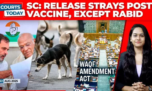 Stray Dogs | Bihar SIR | Vote-Chori Campaign | Waqf Amendment Act | The Wire | Sambhal Mosque Stray Dogs | Bihar SIR | Vote-Chori Campaign | Waqf Amendment Act | The Wire | Sambhal Mosque