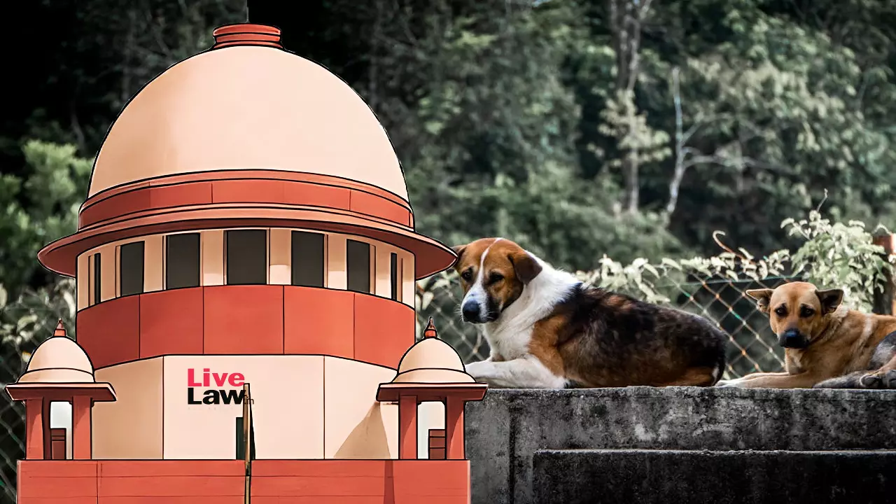 Supreme Court Refuses To Entertain NGOs Plea To Clarify Order On Euthanasia Of Rabid Dogs Supreme Court Refuses To Entertain NGOs Plea To Clarify Order On Euthanasia Of Rabid Dogs