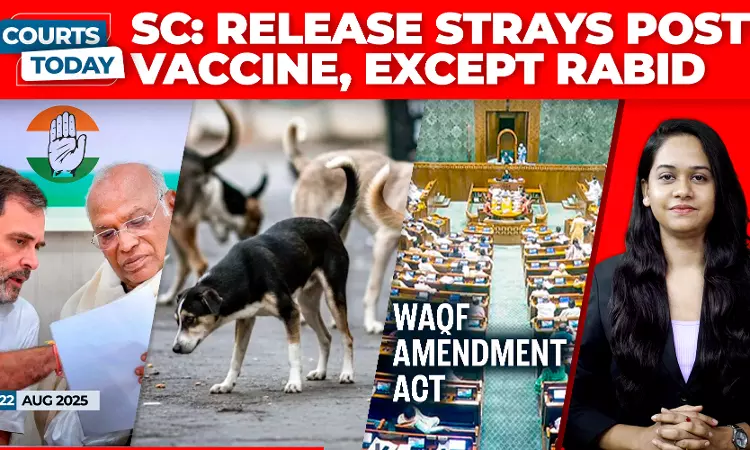 Stray Dogs | Bihar SIR | Vote-Chori Campaign | Waqf Amendment Act | The Wire | Sambhal Mosque Stray Dogs | Bihar SIR | Vote-Chori Campaign | Waqf Amendment Act | The Wire | Sambhal Mosque