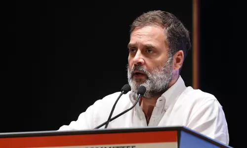Pursuing Cases Against Very Powerful Individual: Allahabad HC Orders Interim Security For Man Questioning Rahul Gandhis Citizenship