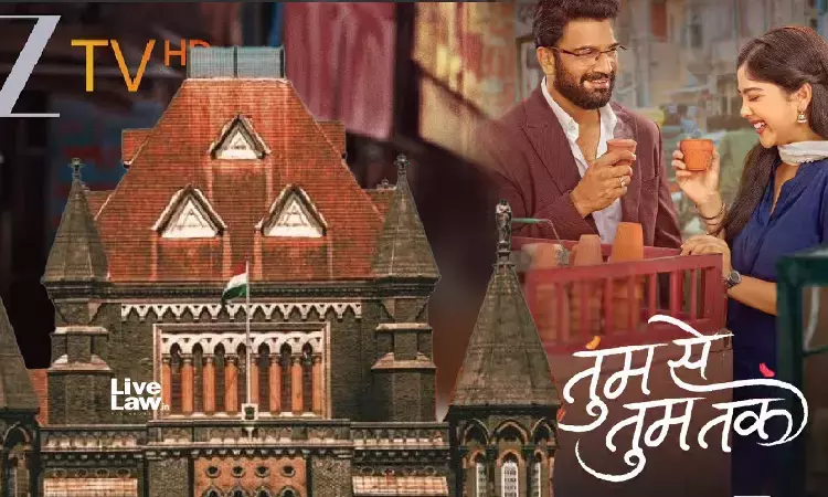Bombay High Court Orders Man To Do Cleaning & Mopping At Mumbais JJ Hospital For Filing Bogus FIR Against Zee TV Show