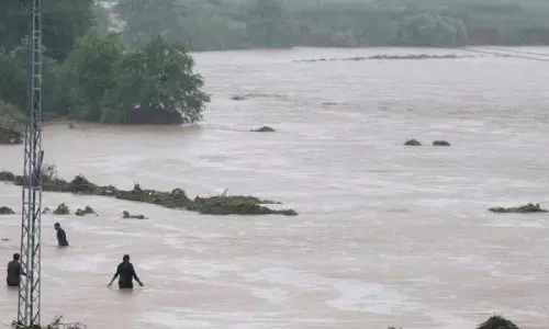 Let Them Work: Punjab & Haryana High Court Criticizes Litigant For Insisting States Immediate Reply In Flood PILs Let Them Work: Punjab & Haryana High Court Criticizes Litigant For Insisting States Immediate Reply In Flood PILs