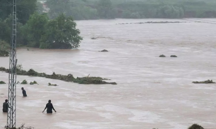 Let Them Work: Punjab & Haryana High Court Criticizes Litigant For Insisting States Immediate Reply In Flood PILs Let Them Work: Punjab & Haryana High Court Criticizes Litigant For Insisting States Immediate Reply In Flood PILs