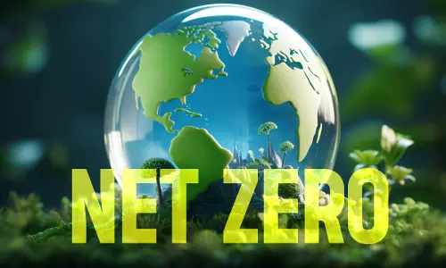 Carbon Credits In The Age Of Corporate Net Zero