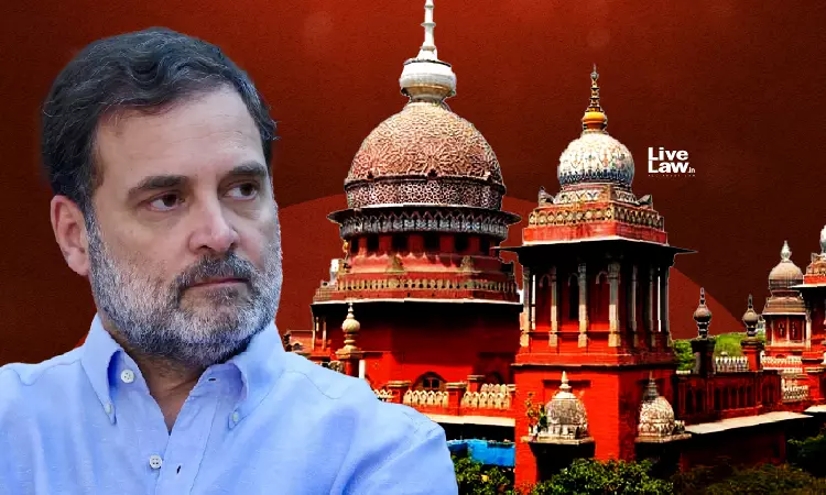 Madras High Court Rejects PIL Seeking ECIs Response To Rahul Gandhis Voter List Manipulation Claim; Slaps Fine Madras High Court Rejects PIL Seeking ECIs Response To Rahul Gandhis Voter List Manipulation Claim; Slaps Fine