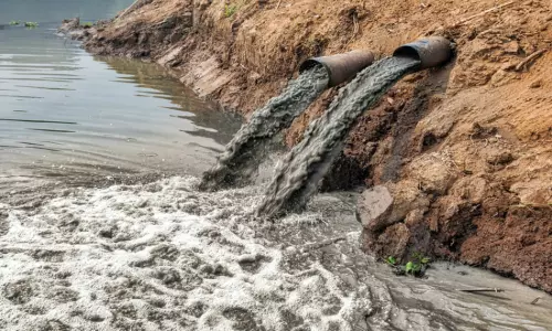 NGT Disposes Application In Gandhi Sagar Talab (bhilwara) Sewage Diversion Matter; Directs Timely Completion Of Ongoing Project NGT Disposes Application In Gandhi Sagar Talab (bhilwara) Sewage Diversion Matter; Directs Timely Completion Of Ongoing Project