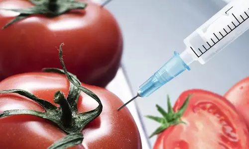 Rajasthan High Court Restrains Manufacture, Sale Or Import Of Genetically Modified Foods Till Centre Frames Regulations