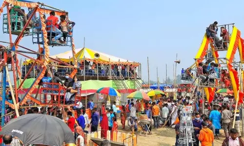 Allahabad High Court Bars Commercial Use Of Educational Institutions Properties Across UP, Directs Govt To Issue Circular Allahabad High Court Bars Commercial Use Of Educational Institutions Properties Across UP, Directs Govt To Issue Circular