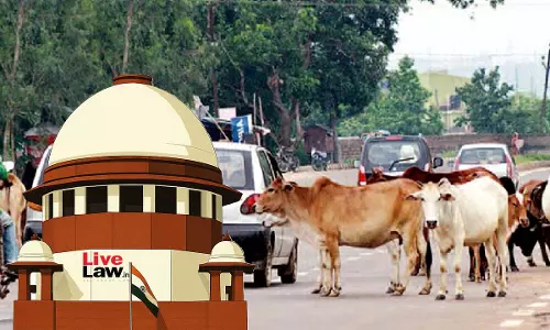 Supreme Court Flags Stray Cattle Menace On Roads, Says States Must Compensate Victims Supreme Court Flags Stray Cattle Menace On Roads, Says States Must Compensate Victims