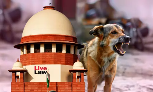 Over 2 Lakh Dog Bite Cases In Tamil Nadu And Karnataka In 2026: Supreme Court Flags “Alarming” Dog Bite Statistics Across India Over 2 Lakh Dog Bite Cases In Tamil Nadu And Karnataka In 2026: Supreme Court Flags “Alarming” Dog Bite Statistics Across India