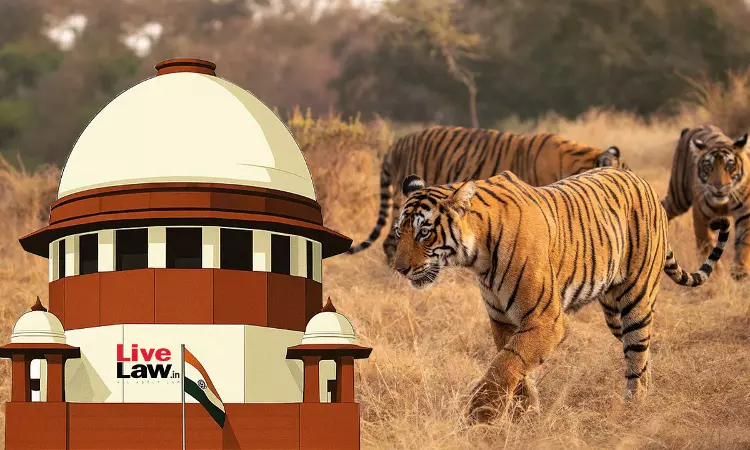Supreme Court Directs States To Consider Treating Human-Wildlife Conflict As Natural Disaster, Orders Rs 10 Lakh Ex Gratia To Victims Supreme Court Directs States To Consider Treating Human-Wildlife Conflict As Natural Disaster, Orders Rs 10 Lakh Ex Gratia To Victims