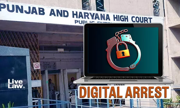 Punjab & Haryana High Court Grants Bail To Bank Relationship Manager Accused In ₹1.03 Crore Digital Arrest Case Punjab & Haryana High Court Grants Bail To Bank Relationship Manager Accused In ₹1.03 Crore Digital Arrest Case