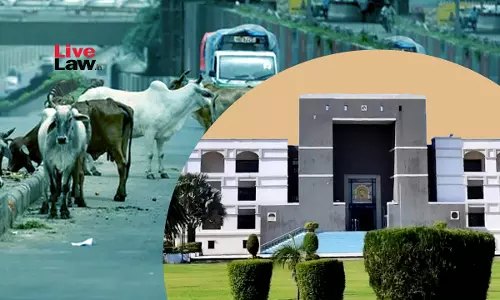 Gujarat High Court Asks Dwarka Municipality To Inform On Steps Taken To Curb Menace Of Stray Bulls