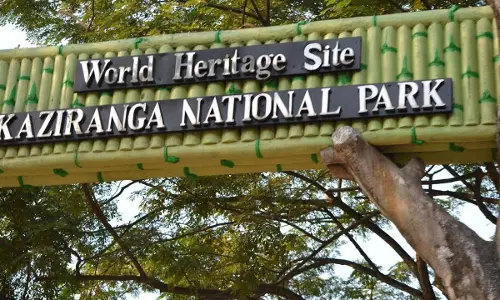 Gauhati High Court Directs Assam Govt To Enforce Prohibitory Orders To Control Illegal Fishing In Kaziranga National Park