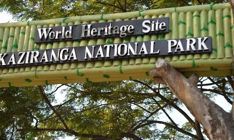Gauhati High Court Directs Assam Govt To Enforce Prohibitory Orders To Control Illegal Fishing In Kaziranga National Park Gauhati High Court Directs Assam Govt To Enforce Prohibitory Orders To Control Illegal Fishing In Kaziranga National Park