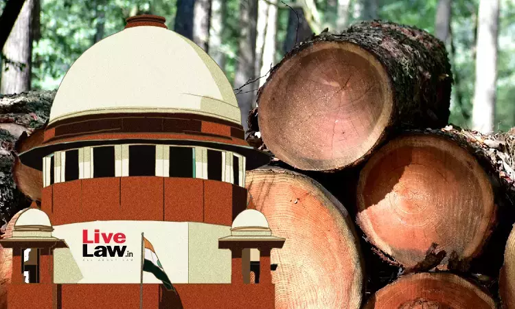 Permission To Cut Trees Must Follow Definition Of Forest In Godavarman Decision Though Land Not Notified As Forest: Supreme Court
