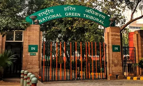 National Green Tribunal Allows Ayodhya Bypass Expansion Project In Bhopal With Strict Environmental Safeguards National Green Tribunal Allows Ayodhya Bypass Expansion Project In Bhopal With Strict Environmental Safeguards