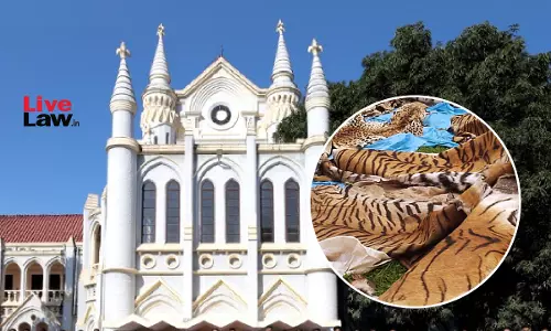 MP High Court Directs Bandhavgarh Tiger Reserve Field Officer To Submit Action Taken Report On Unnatural Tiger Deaths
