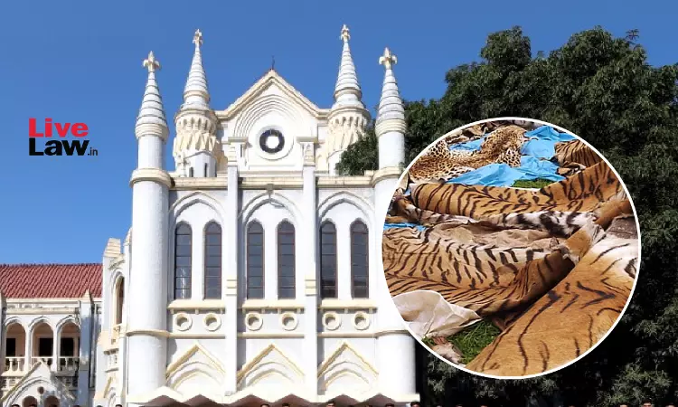 54 Tiger Deaths In 2025: Madhya Pradesh High Court Issues Notice On PIL Seeking Directions To Prevent Poaching 54 Tiger Deaths In 2025: Madhya Pradesh High Court Issues Notice On PIL Seeking Directions To Prevent Poaching