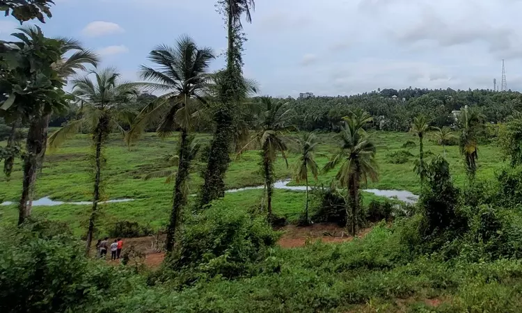 Rajasthan HC Takes Suo Motu Cognizance of Threats to State Wetlands, Orders Immediate Protective Measures Rajasthan HC Takes Suo Motu Cognizance of Threats to State Wetlands, Orders Immediate Protective Measures