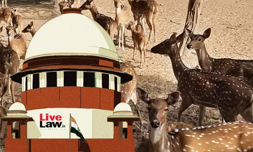 Supreme Court Approves Shifting Of Deers From Delhis AN Jha Park To Rajasthan, Directs Centre To Frame Guidelines On Wildlife Relocation Supreme Court Approves Shifting Of Deers From Delhis AN Jha Park To Rajasthan, Directs Centre To Frame Guidelines On Wildlife Relocation
