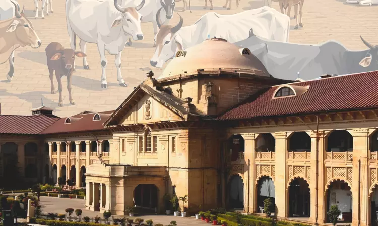 Cow Slaughter Disturbs Even Tempo Of Life, Spontaneously Evokes Violent Reactions: Allahabad High Court Upholds NSA Detention Cow Slaughter Disturbs Even Tempo Of Life, Spontaneously Evokes Violent Reactions: Allahabad High Court Upholds NSA Detention