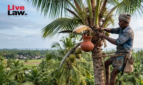 Delay In Filing Insurance Claim Cant Defeat Genuine Compensation: Kerala High Court Upholds ₹7.5 Lakh Award To Disabled Toddy Tapper Delay In Filing Insurance Claim Cant Defeat Genuine Compensation: Kerala High Court Upholds ₹7.5 Lakh Award To Disabled Toddy Tapper