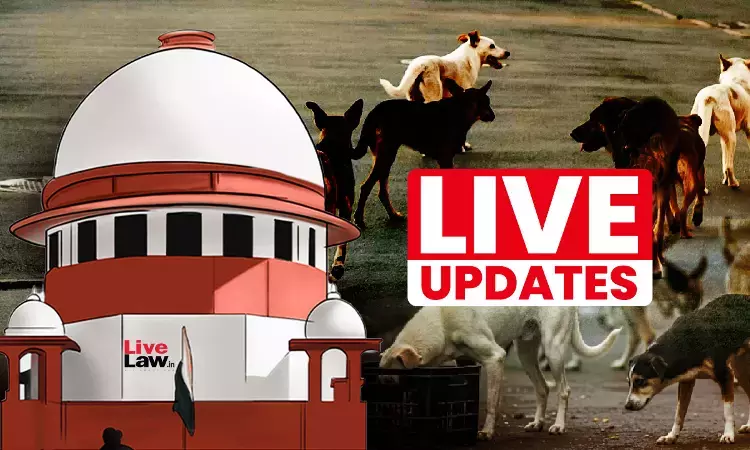 Stray Dog Case Judgment Pronouncement : Live Updates From Supreme Court