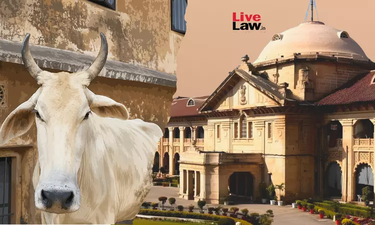 Within Four Walls, No Disturbance Of Public Peace: Why Allahabad HC Quashed NSA Detention Over Alleged Cow Slaughter Within Four Walls, No Disturbance Of Public Peace: Why Allahabad HC Quashed NSA Detention Over Alleged Cow Slaughter
