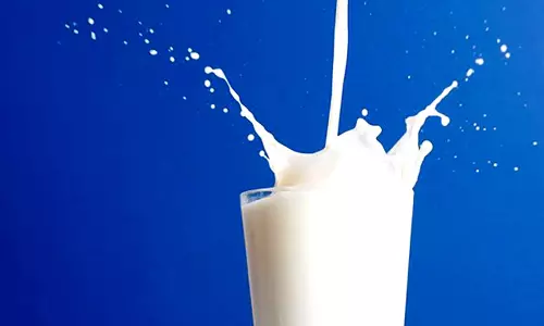 Rajasthan High Court Orders State To Inspect Measures Adopted By Cooperatives To Prevent Sale Of Synthetic Milk