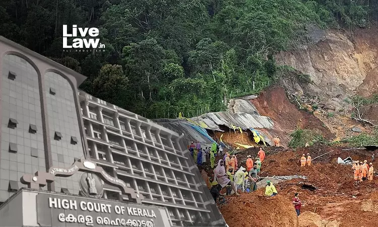 2026 Wayanad Landslide: Kerala High Court Directs Immediate Disbursal Of Ex-Gratia, Free Treatment For Injured 2026 Wayanad Landslide: Kerala High Court Directs Immediate Disbursal Of Ex-Gratia, Free Treatment For Injured
