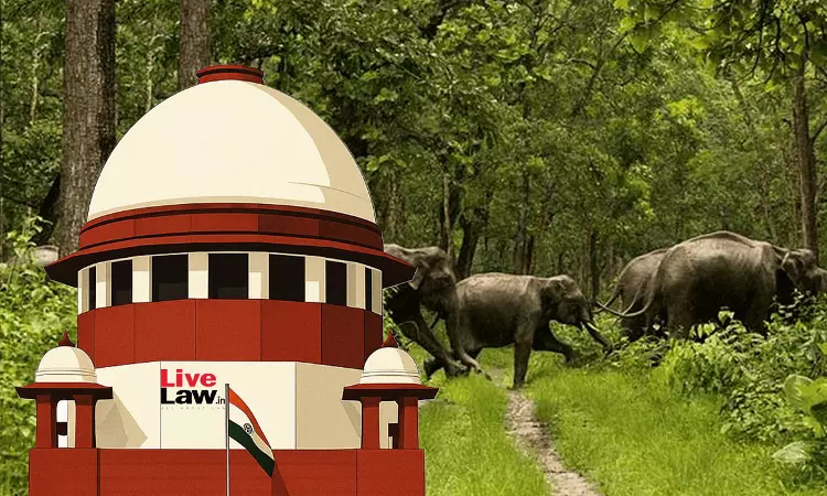 Supreme Court Directs Nationwide Survey On Steps To Prevent Blocking Of Elephant Corridors Supreme Court Directs Nationwide Survey On Steps To Prevent Blocking Of Elephant Corridors