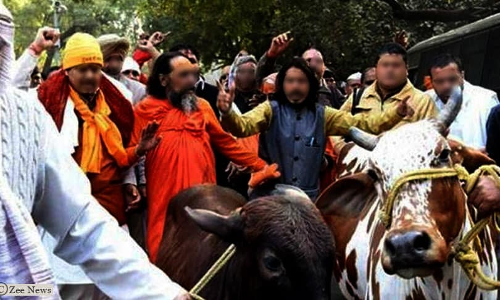 Karnataka Govt Moves High Court Seeking Modification Of Order Directing No Coercive Action Against Cattle Transport Till Rules Are Made Karnataka Govt Moves High Court Seeking Modification Of Order Directing No Coercive Action Against Cattle Transport Till Rules Are Made