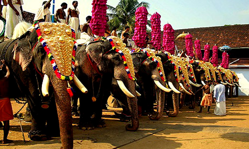 Persons Who Mistreat Animals Must Be Dealt With As Mercilessly: Madras High Court Asks Govt To Prohibit Future Ownership Of Elephants By Individuals, Temples Persons Who Mistreat Animals Must Be Dealt With As Mercilessly: Madras High Court Asks Govt To Prohibit Future Ownership Of Elephants By Individuals, Temples