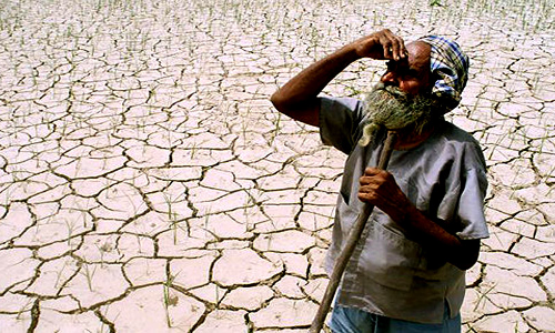 Farmers Suicide : After High Court Nudge, Karnataka Govt Includes Borrowers From Private Lenders In Compensation Scheme Farmers Suicide : After High Court Nudge, Karnataka Govt Includes Borrowers From Private Lenders In Compensation Scheme