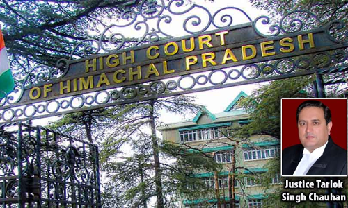 Accused Appearing Drunk In Court Is Not A Ground To Cancel Bail: Himachal Pradesh HC [Read Order]