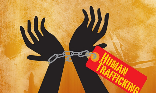 Allahabad High Court Seeks UP Govts Reply On Plea For Establishment Of Special Human Trafficking Courts