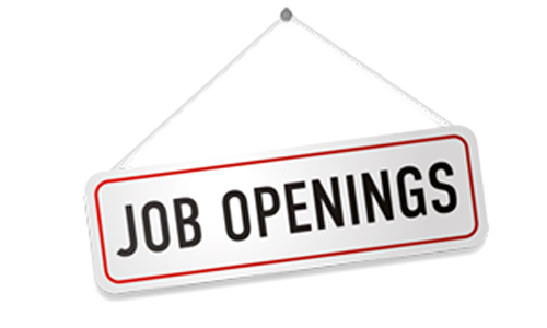 Law Researchers Vacancy At Delhi Judicial Academy