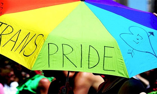 Punjab & Haryana Govts Agree Before High Court To Consider Plea For Setting Up Transgender Protection Cells