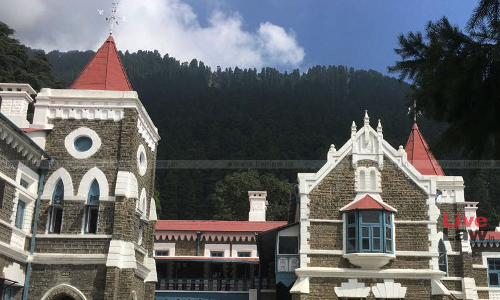 Uttarakhand High Court Continues Stay On Tree Felling In Sahastradhara