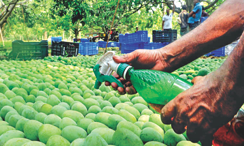 Large Scale Food Adulteration: Madras High Court Issues Directions For Food Safety Commissioner To Spread Awareness And Take Swift Action