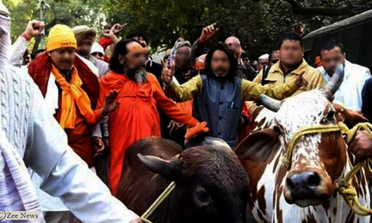 Cow Protection Furor: Can The NSA Be Invoked? Cow Protection Furor: Can The NSA Be Invoked?