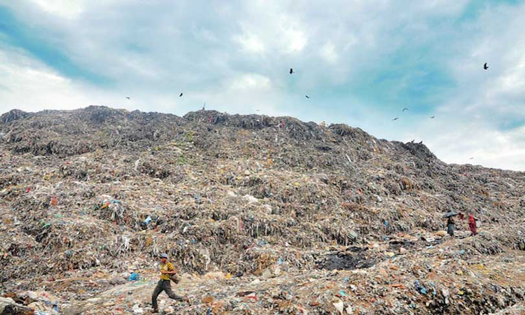 Ghazipur Landfill Fire Incidents: Delhi High Court Expresses Concern Over Air Pollution, Seeks Action Taken Report