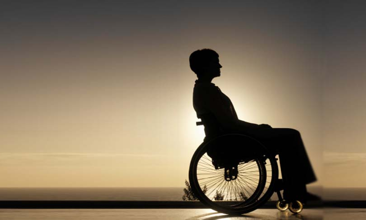 Kerala High Court To Consider Feasibility Of Allowing Wheelchairs Into Naalambalam Of Temples For Differently Abled Devotees, Appoints Amicus Curiae Kerala High Court To Consider Feasibility Of Allowing Wheelchairs Into Naalambalam Of Temples For Differently Abled Devotees, Appoints Amicus Curiae