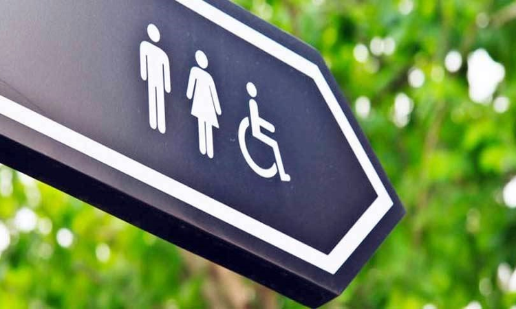 Supernumerary Posts U/S 20(4) RPwD Act Available Only To Those Who Acquire Disability During Service: HP High Court Supernumerary Posts U/S 20(4) RPwD Act Available Only To Those Who Acquire Disability During Service: HP High Court