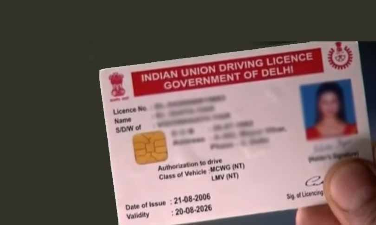 Private Investigators Report Insufficient To Prove Drivers Licence Was Fake, Insurer Must Examine Licensing Authority: Rajasthan High Court Private Investigators Report Insufficient To Prove Drivers Licence Was Fake, Insurer Must Examine Licensing Authority: Rajasthan High Court