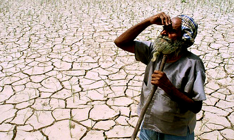 Farmers Suicide : After High Court Nudge, Karnataka Govt Includes Borrowers From Private Lenders In Compensation Scheme Farmers Suicide : After High Court Nudge, Karnataka Govt Includes Borrowers From Private Lenders In Compensation Scheme