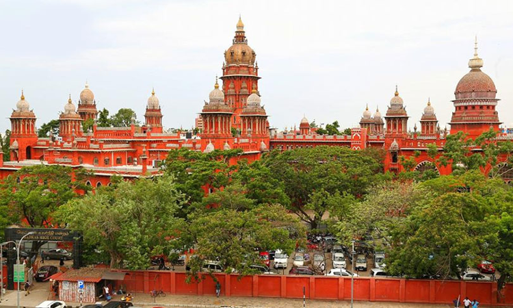 Interim Measure To Bring Down Soaring Tomato Prices Necessary: Madras High Court Permits Temporary Parking For Koyambedu Market Traders Interim Measure To Bring Down Soaring Tomato Prices Necessary: Madras High Court Permits Temporary Parking For Koyambedu Market Traders